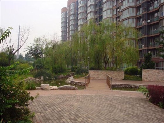 小區(qū)為什么要放創(chuàng)衛(wèi)鼠餌盒