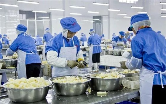 食品工廠常見(jiàn)的防鼠設(shè)施——帶鎖誘餌站