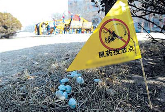 鼠餌盒廠家介紹慢性滅鼠藥的優(yōu)點(diǎn)