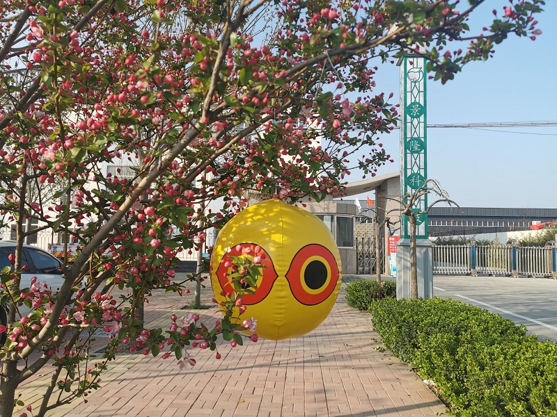 驅(qū)鳥(niǎo)氣球
